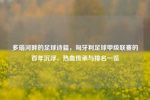 多瑙河畔的足球诗篇，匈牙利足球甲级联赛的百年沉浮、热血传承与排名一览