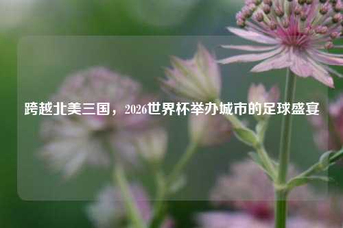 跨越北美三国，2026世界杯举办城市的足球盛宴