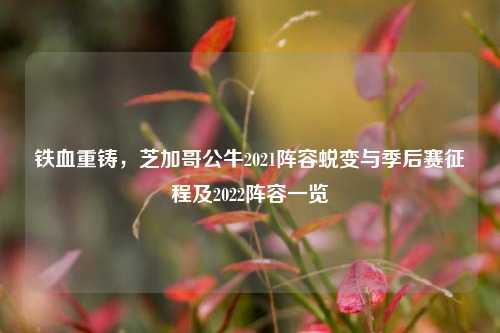 铁血重铸，芝加哥公牛2021阵容蜕变与季后赛征程及2022阵容一览
