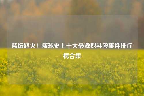 篮坛怒火！篮球史上十大最激烈斗殴事件排行榜合集