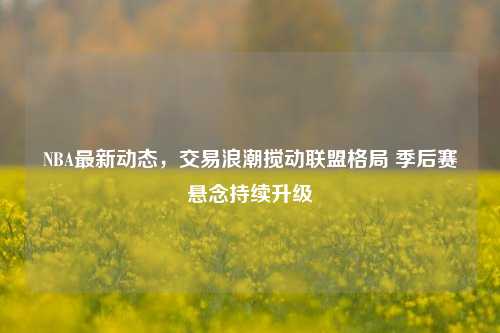 NBA最新动态，交易浪潮搅动联盟格局 季后赛悬念持续升级