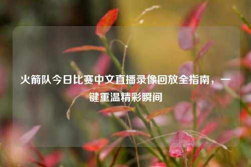火箭队今日比赛中文直播录像回放全指南,一键重温精彩瞬间