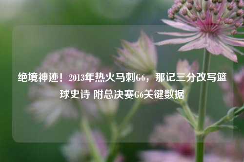 绝境神迹!2013年热火马刺G6,那记三分改写篮球史诗 附总决赛G6关键数据