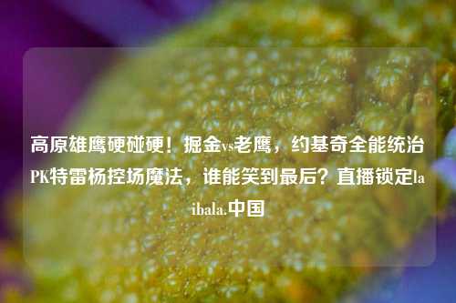 高原雄鹰硬碰硬！掘金vs老鹰，约基奇全能统治PK特雷杨控场魔法，谁能笑到最后？直播锁定laibala.中国
