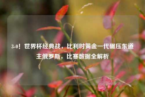 3-0！世界杯经典战，比利时黄金一代碾压东道主俄罗斯，比赛数据全解析