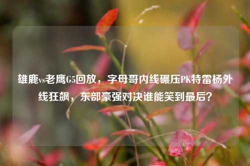 雄鹿vs老鹰G5回放，字母哥内线碾压PK特雷杨外线狂飙，东部豪强对决谁能笑到最后？