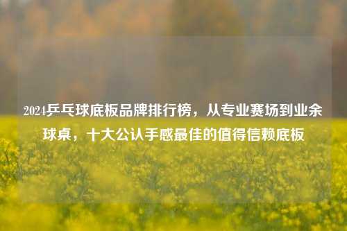 2024乒乓球底板品牌排行榜，从专业赛场到业余球桌，十大公认手感最佳的值得信赖底板