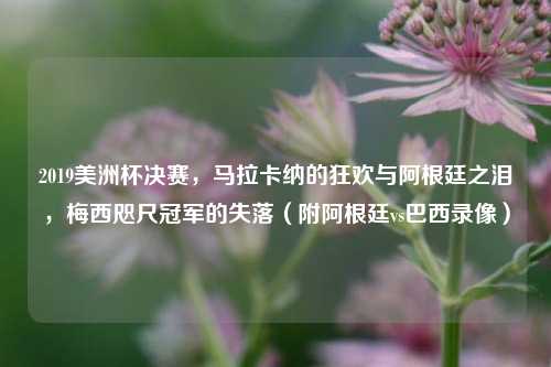 2019美洲杯决赛，马拉卡纳的狂欢与阿根廷之泪，梅西咫尺冠军的失落（附阿根廷vs巴西录像）