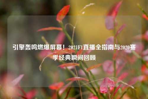 引擎轰鸣燃爆屏幕！2021F1直播全指南与2020赛季经典瞬间回顾