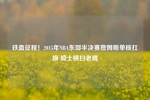 铁血征程！2015年NBA东部半决赛詹姆斯单核扛旗 骑士横扫老鹰
