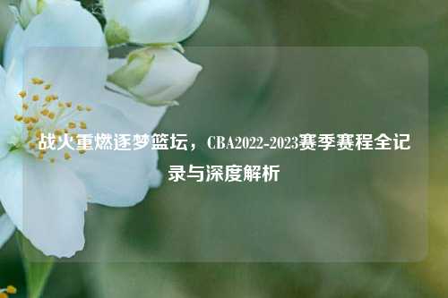 战火重燃逐梦篮坛,CBA2022-2023赛季赛程全记录与深度解析