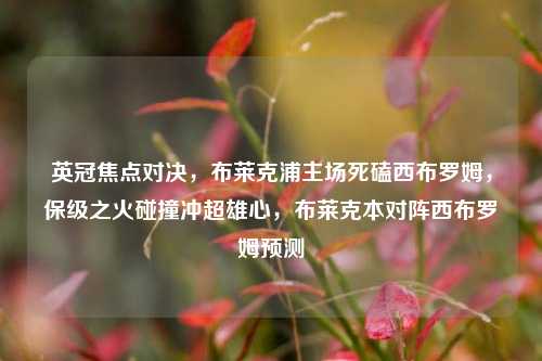 英冠焦点对决，布莱克浦主场死磕西布罗姆，保级之火碰撞冲超雄心，布莱克本对阵西布罗姆预测
