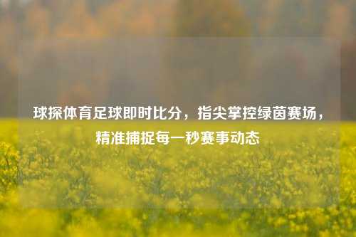 球探体育足球即时比分,指尖掌控绿茵赛场,精准捕捉每一秒赛事动态
