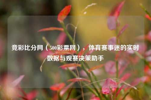 竞彩比分网（500彩票网），体育赛事迷的实时数据与观赛决策助手