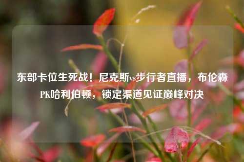 东部卡位生死战！尼克斯vs步行者直播，布伦森PK哈利伯顿，锁定渠道见证巅峰对决
