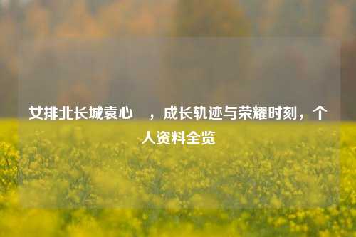 女排北长城袁心玥，成长轨迹与荣耀时刻，个人资料全览