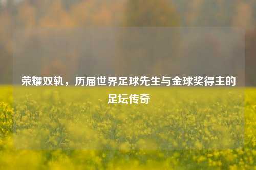 荣耀双轨,历届世界足球先生与金球奖得主的足坛传奇