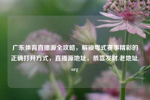 广东体育直播源全攻略，解锁粤式赛事精彩的正确打开方式，直播源地址，恭喜发财.老地址.org