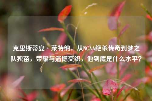 克里斯蒂安·莱特纳，从NCAA绝杀传奇到梦之队独苗，荣耀与遗憾交织，他到底是什么水平？