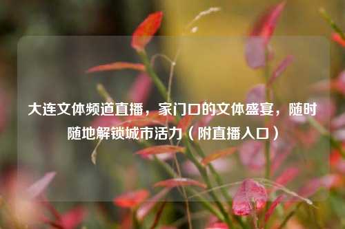 大连文体频道直播,家门口的文体盛宴,随时随地解锁城市活力(附直播入口)