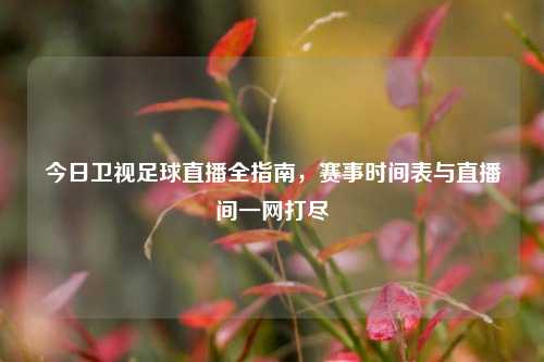 今日卫视足球直播全指南，赛事时间表与直播间一网打尽