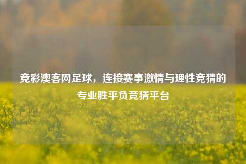 竞彩澳客网足球，连接赛事激情与理性竞猜的专业胜平负竞猜平台
