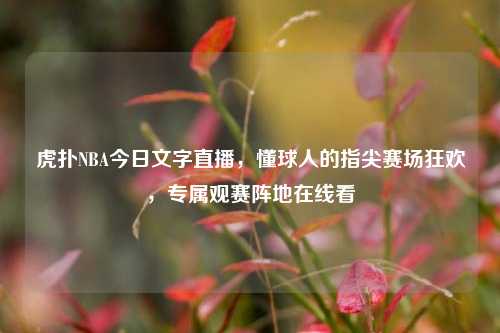 虎扑NBA今日文字直播，懂球人的指尖赛场狂欢，专属观赛阵地在线看