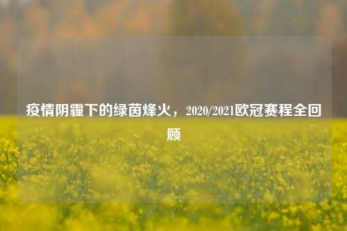 疫情阴霾下的绿茵烽火,2020/2021欧冠赛程全回顾