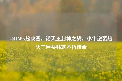 2011NBA总决赛，诺天王封神之战，小牛逆袭热火三巨头铸就不朽传奇
