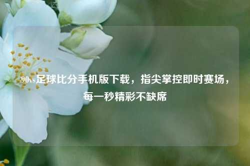 90vs足球比分手机版下载,指尖掌控即时赛场,每一秒精彩不缺席