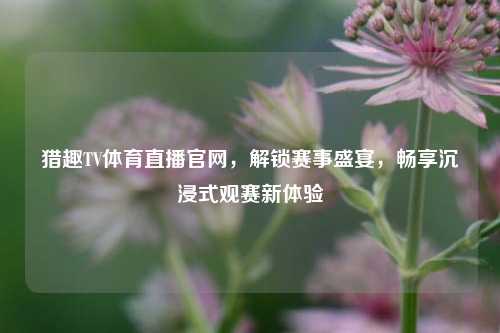 猎趣TV体育直播官网,解锁赛事盛宴,畅享沉浸式观赛新体验