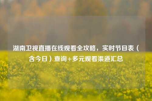 湖南卫视直播在线观看全攻略,实时节目表(含今日)查询+多元观看渠道汇总