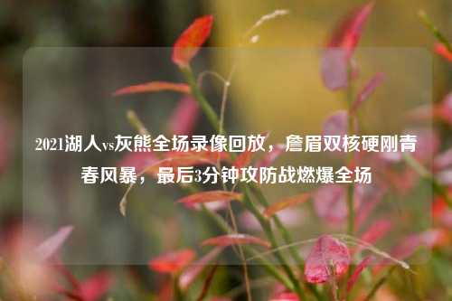 2021湖人vs灰熊全场录像回放，詹眉双核硬刚青春风暴，最后3分钟攻防战燃爆全场