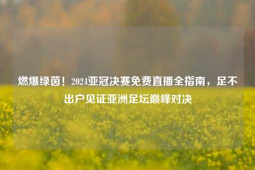 燃爆绿茵!2024亚冠决赛免费直播全指南,足不出户见证亚洲足坛巅峰对决