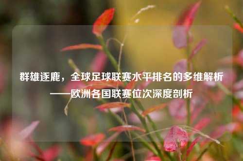 群雄逐鹿，全球足球联赛水平排名的多维解析——欧洲各国联赛位次深度剖析