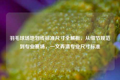 羽毛球场地划线标准尺寸全解析，从细节规范到专业赛场，一文弄清专业尺寸标准