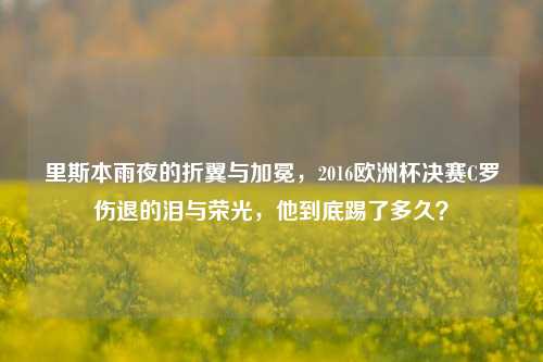 里斯本雨夜的折翼与加冕，2016欧洲杯决赛C罗伤退的泪与荣光，他到底踢了多久？