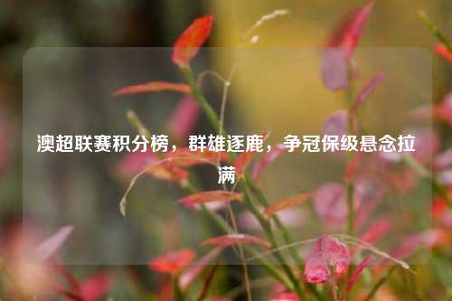 澳超联赛积分榜,群雄逐鹿,争冠保级悬念拉满