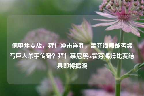 德甲焦点战，拜仁冲击连胜，霍芬海姆能否续写巨人杀手传奇？拜仁慕尼黑vs霍芬海姆比赛结果即将揭晓