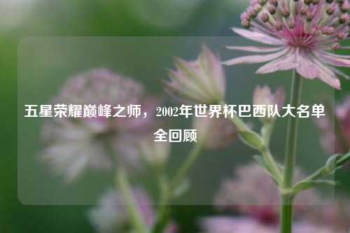 五星荣耀巅峰之师，2002年世界杯巴西队大名单全回顾