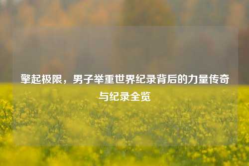 擎起极限，男子举重世界纪录背后的力量传奇与纪录全览