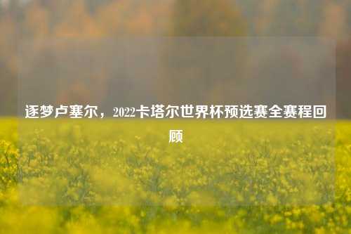 逐梦卢塞尔，2022卡塔尔世界杯预选赛全赛程回顾