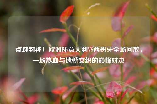 点球封神！欧洲杯意大利VS西班牙全场回放，一场热血与遗憾交织的巅峰对决
