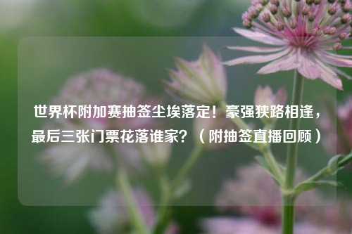 世界杯附加赛抽签尘埃落定！豪强狭路相逢，最后三张门票花落谁家？（附抽签直播回顾）