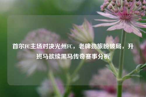 首尔FC主场对决光州FC，老牌劲旅盼破局，升班马欲续黑马传奇赛事分析