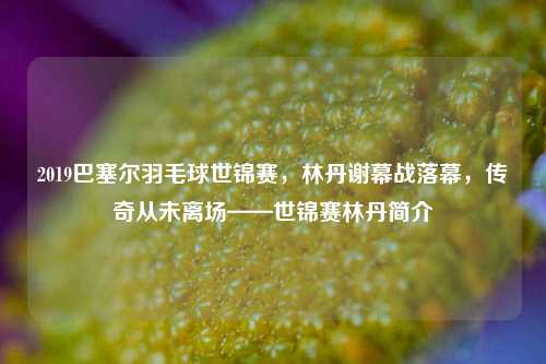 2019巴塞尔羽毛球世锦赛，林丹谢幕战落幕，传奇从未离场——世锦赛林丹简介