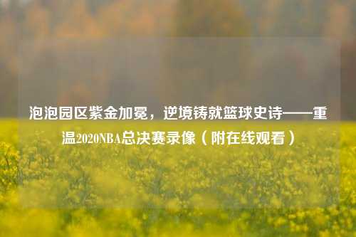 泡泡园区紫金加冕，逆境铸就篮球史诗——重温2020NBA总决赛录像（附在线观看）