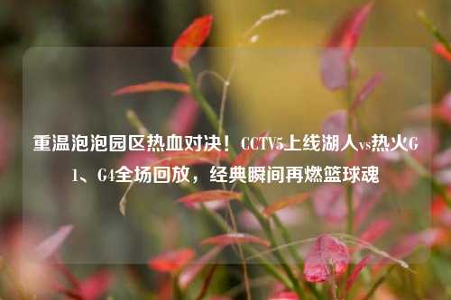 重温泡泡园区热血对决!CCTV5上线湖人vs热火G1、G4全场回放,经典瞬间再燃篮球魂