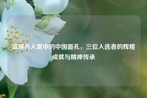 篮球名人堂中的中国面孔，三位入选者的辉煌成就与精神传承