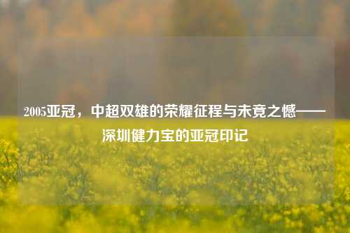 2005亚冠，中超双雄的荣耀征程与未竟之憾——深圳健力宝的亚冠印记